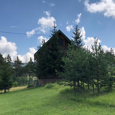 Apartmán Kuca U Borju - House In Pines Žabljak Exteriér fotografie