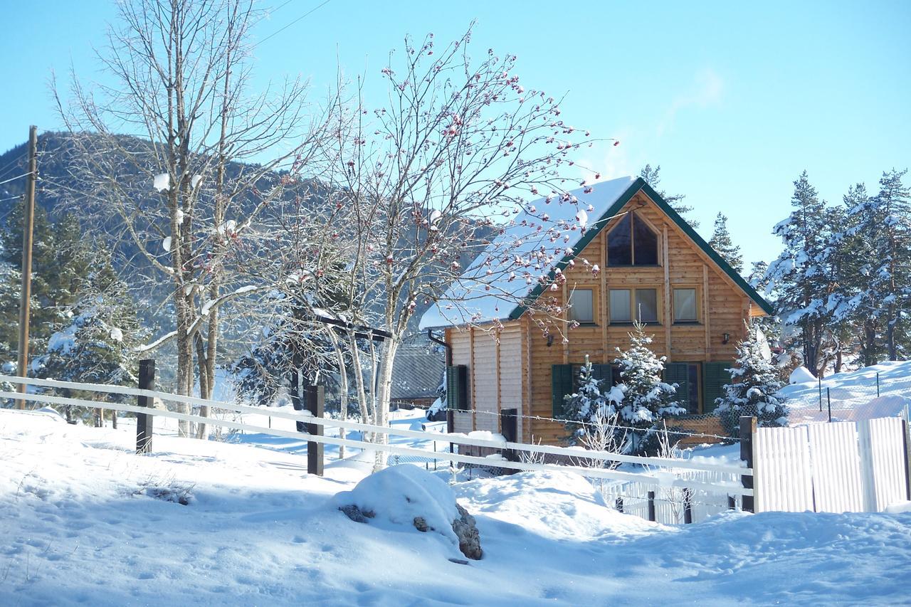 Apartmán Kuca U Borju - House In Pines Žabljak Exteriér fotografie
