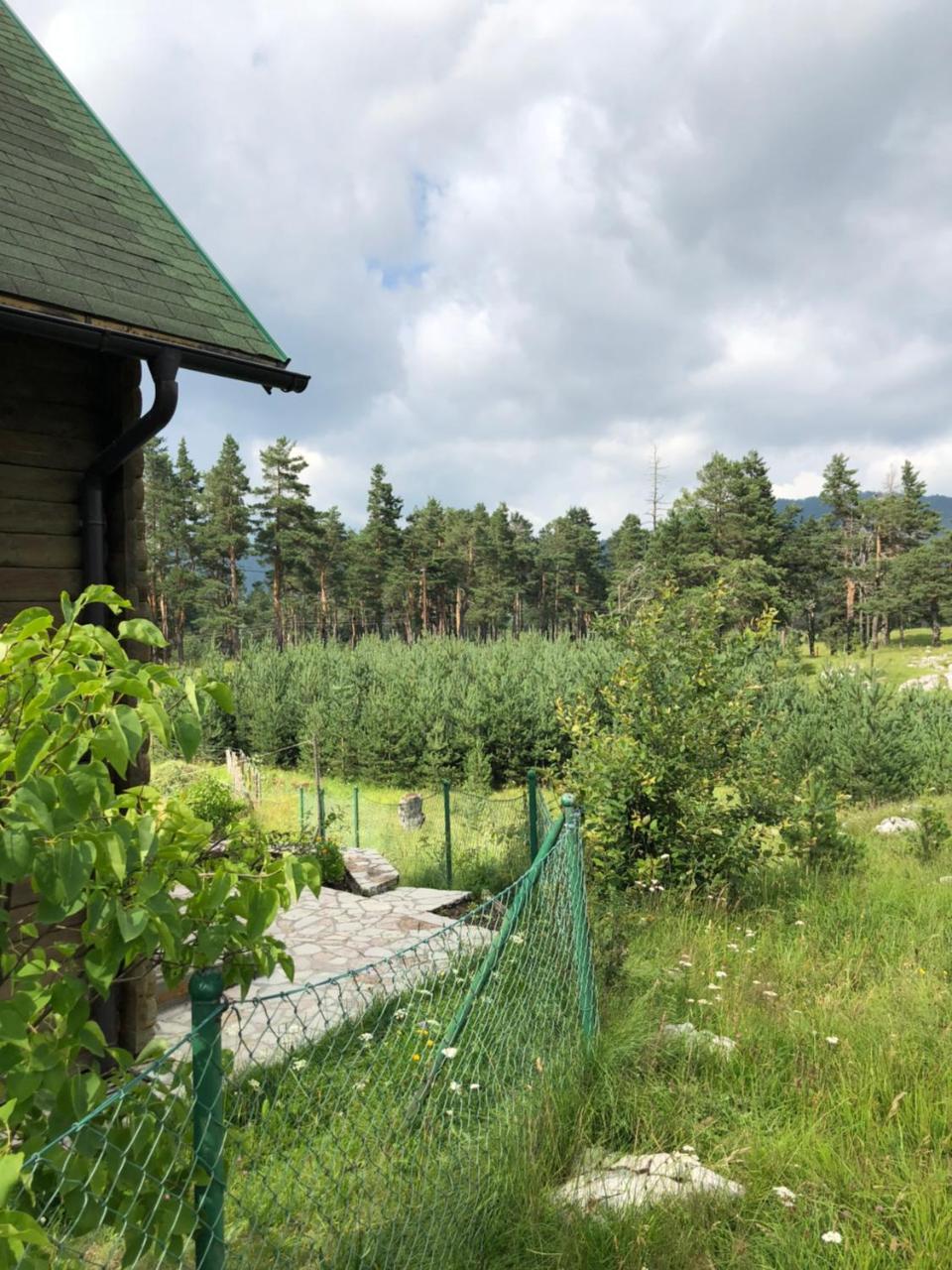 Apartmán Kuca U Borju - House In Pines Žabljak Exteriér fotografie