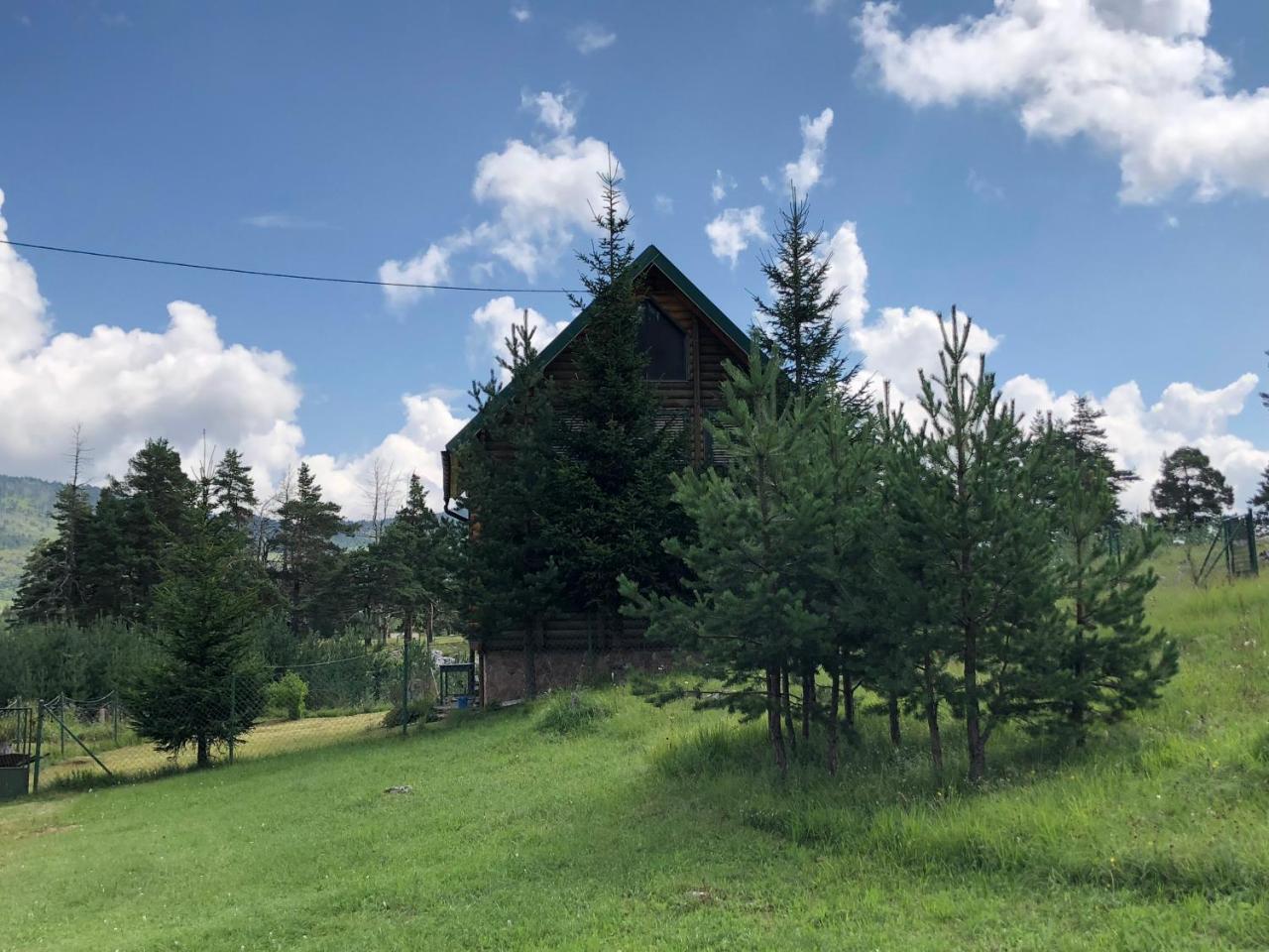 Apartmán Kuca U Borju - House In Pines Žabljak Exteriér fotografie