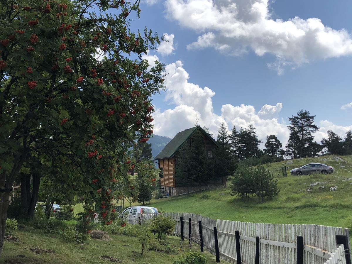 Apartmán Kuca U Borju - House In Pines Žabljak Exteriér fotografie